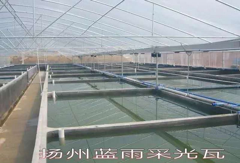 成功案例